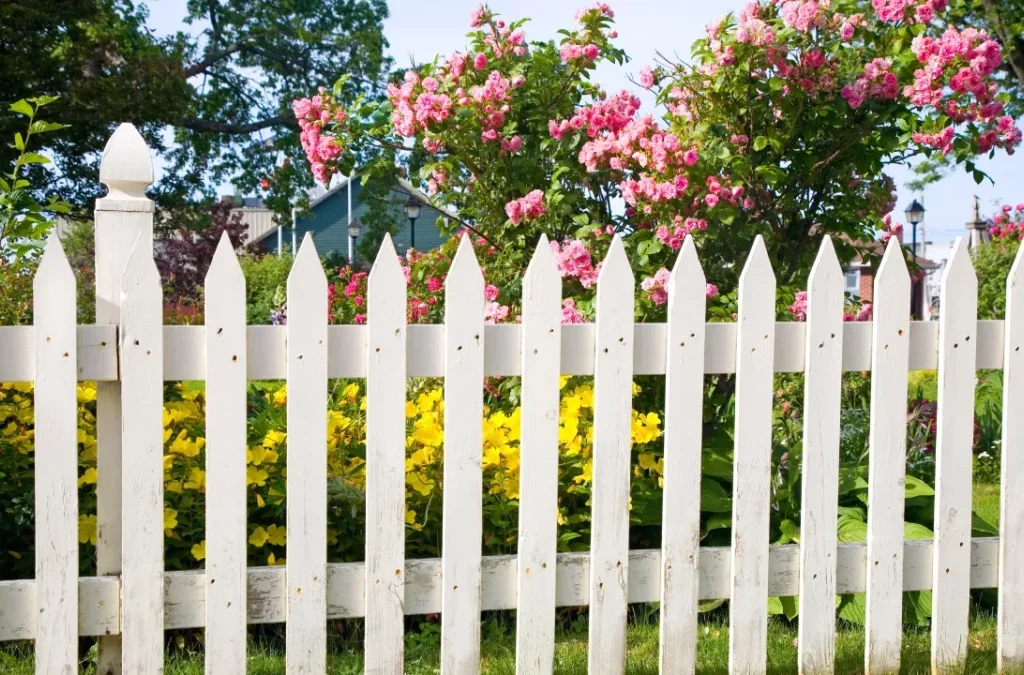 Fence Rules