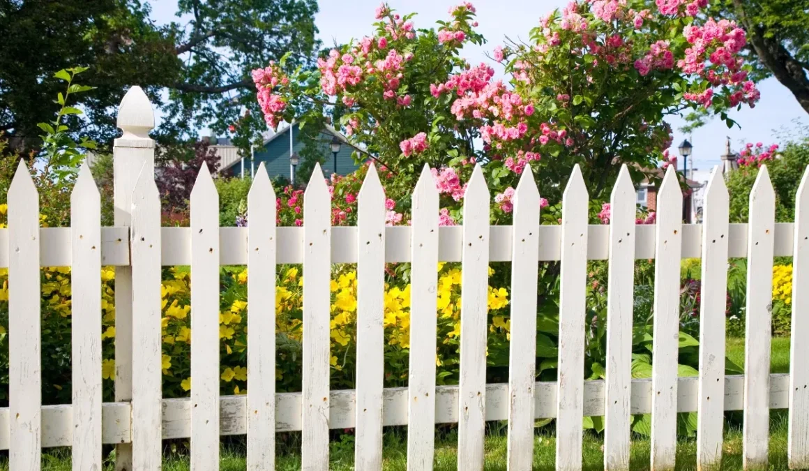 Fence Rules