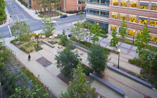 UCLA Molecular Garden